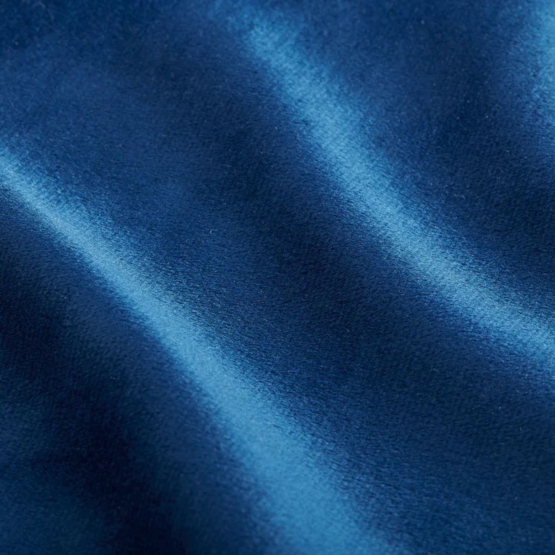 Blue Plush